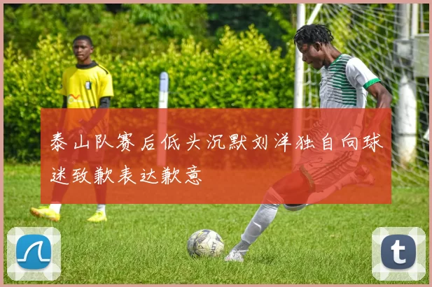 泰山队赛后低头沉默刘洋独自向球迷致歉表达歉意